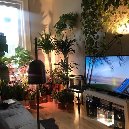 Urban Jungle Oasis In Queens! New York City Exterior photo