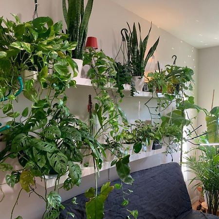 Urban Jungle Oasis In Queens! New York City Exterior photo