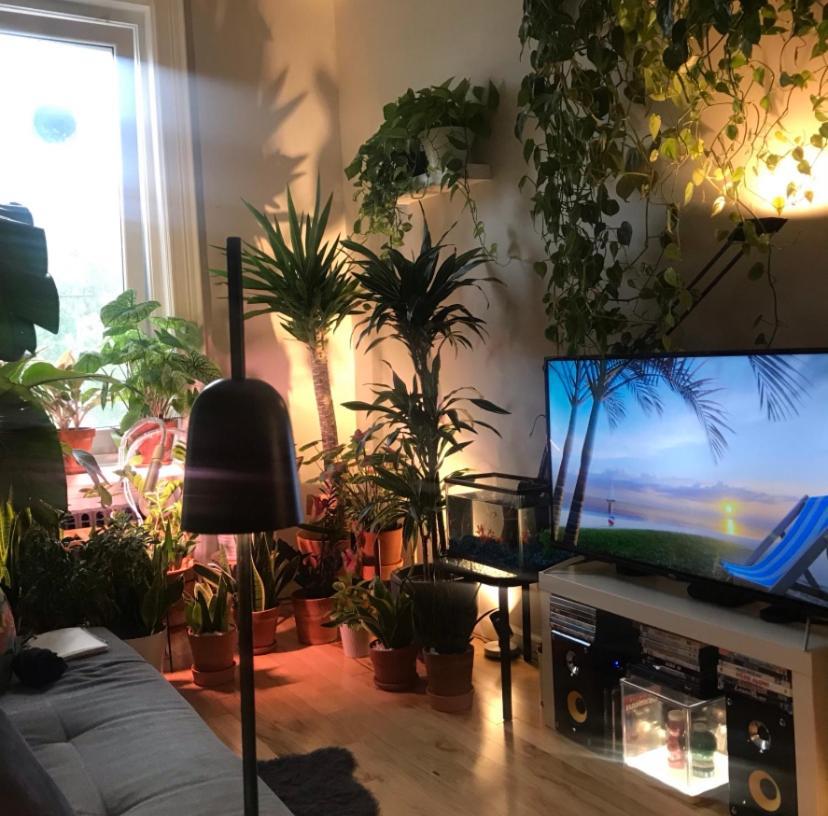 Urban Jungle Oasis In Queens! New York City Exterior photo