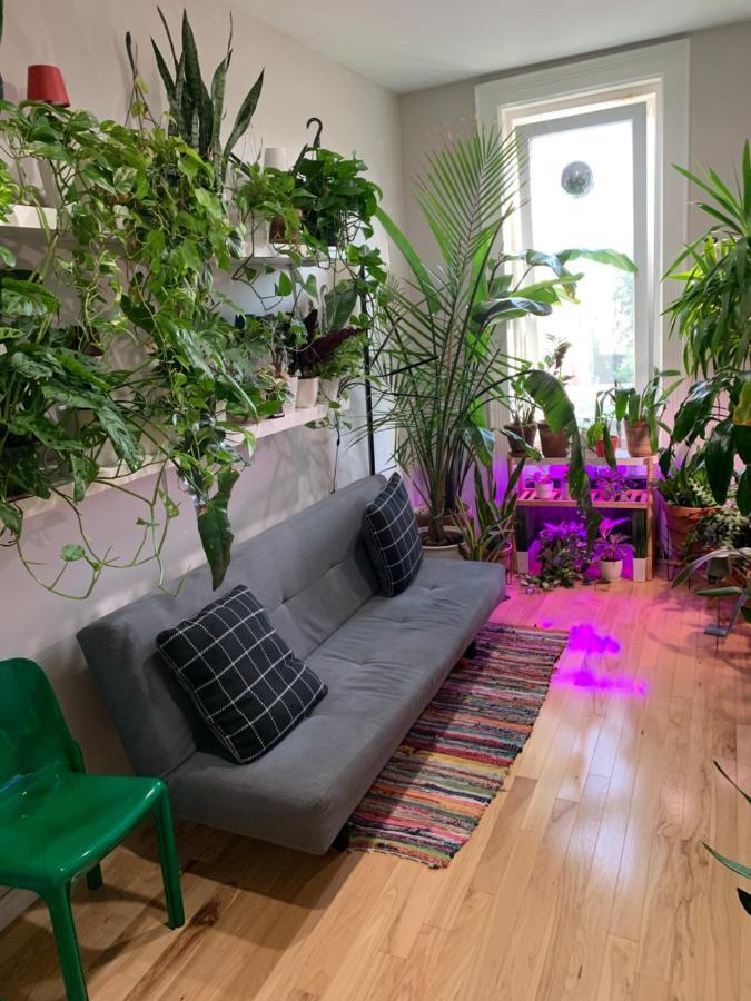 Urban Jungle Oasis In Queens! New York City Exterior photo