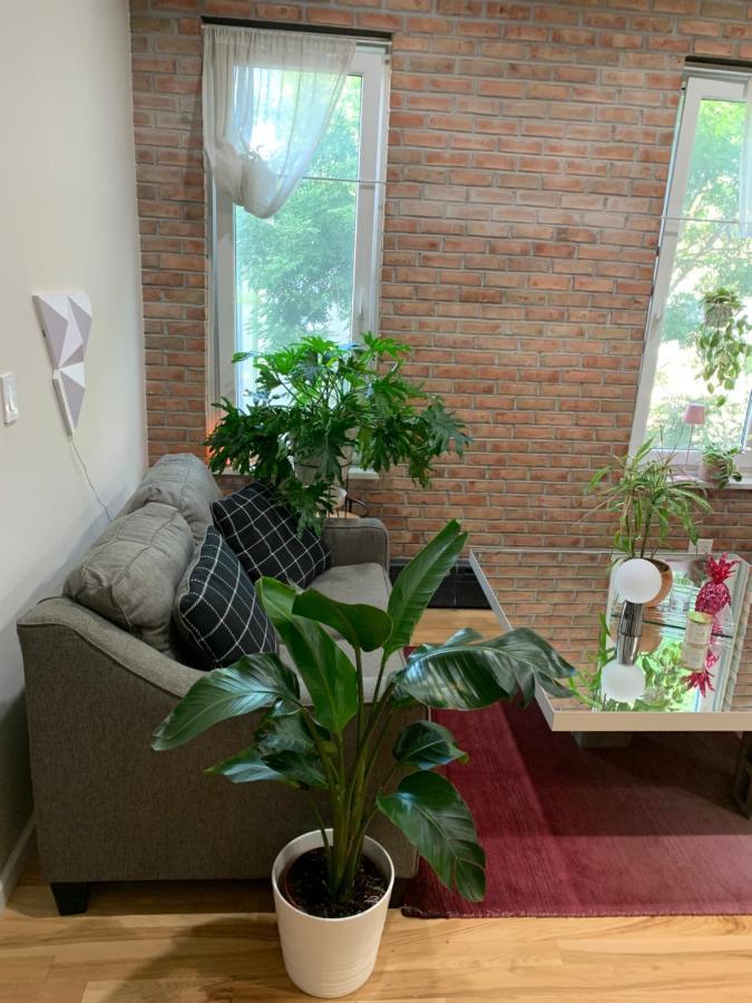 Urban Jungle Oasis In Queens! New York City Exterior photo