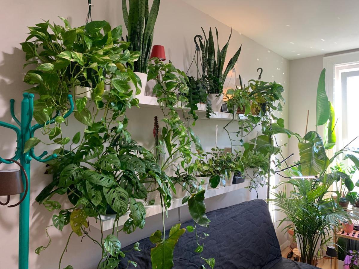 Urban Jungle Oasis In Queens! New York City Exterior photo