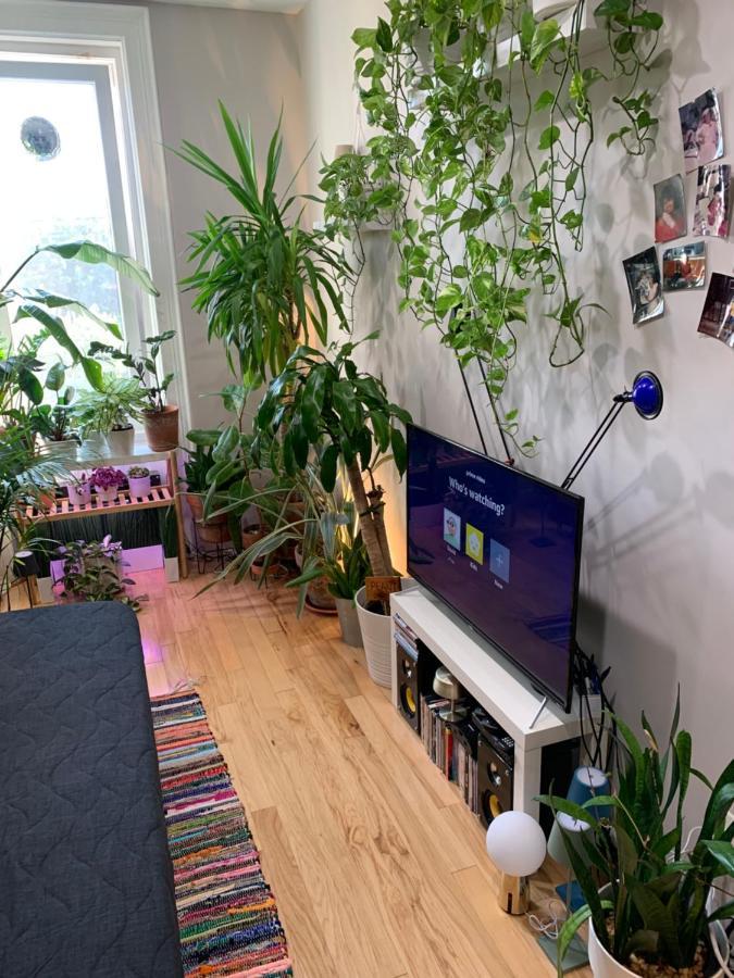 Urban Jungle Oasis In Queens! New York City Exterior photo